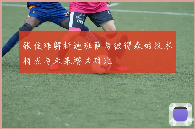 张佳玮解析迪班萨与彼得森的技术特点与未来潜力对比